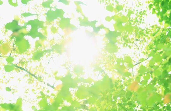 下関でガッツリ系のラーメンをお探しの方